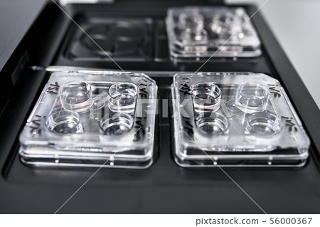Equipment for in vitro fertilization in laboratory 56000367