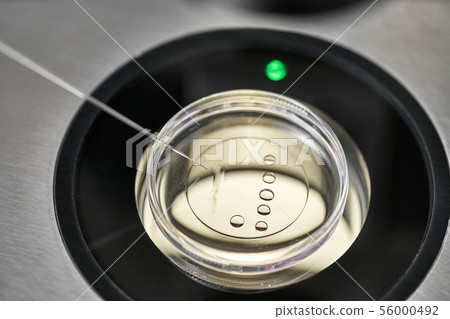 Process of in vitro fertilization in laboratory Process of in vitro fertilization in laboratory 56000492