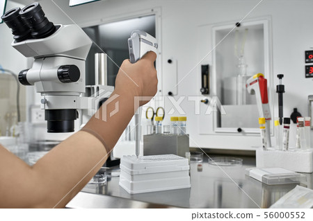 Process of in vitro fertilization in laboratory Process of in vitro fertilization in laboratory 56000552