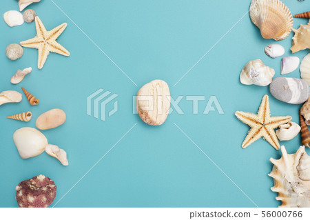 Frame of shells of various kinds on a blue Frame of shells of various kinds on a blue 56000766