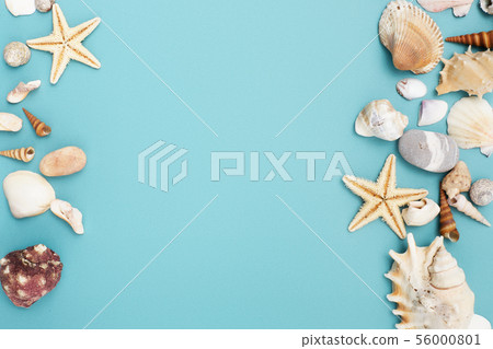 Frame of shells of various kinds on a blue 56000801