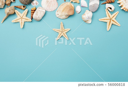 Frame of shells of various kinds on a blue 56000818