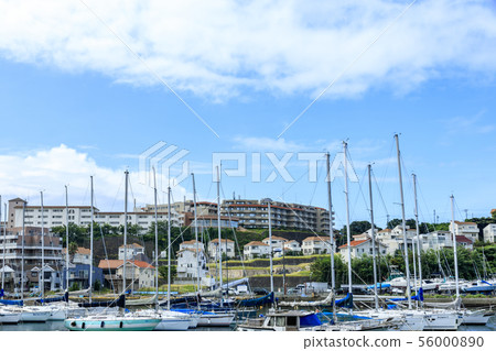 諸暨（夏） 56000890