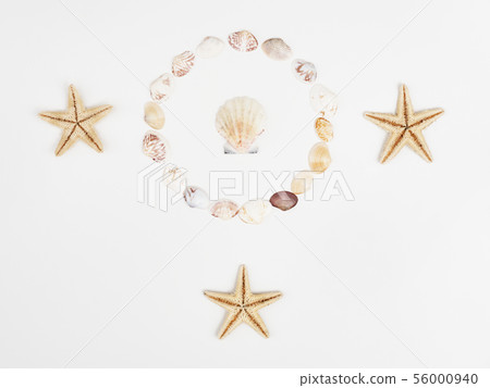 Flat lay of shells on a blue wooden background 56000940