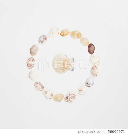 Flat lay of shells on a blue wooden background Flat lay of shells on a blue wooden background 56000971