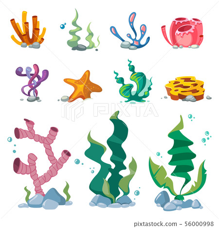 Bright seaweeds aquarium decoration cartoon vector set isolated on white background 56000998