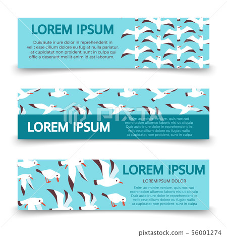 Flat atlantic seabirds banners template design 56001274