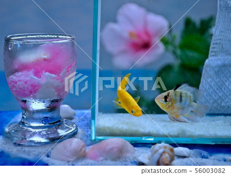 I feel cool on a hot summer day I feel cool on a hot summer day 56003082