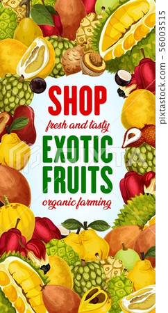 Exotic fruits, tropical berries frame. Farm shop 56003515