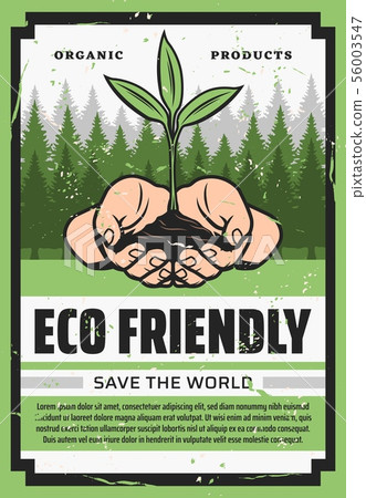 Hands with eco green plant and trees. Ecology 56003547