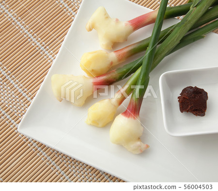 Leaf ginger 56004503