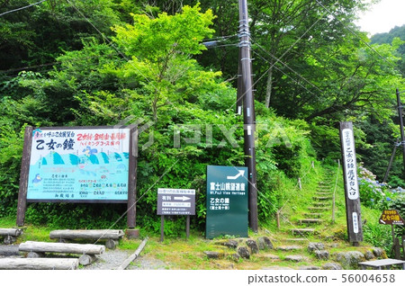 Gotemba City Maiden's Bell Observatory Information Board and Fresh Green Gotemba City Maiden's Bell Observatory Information Board and Fresh Green 56004658