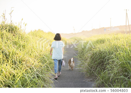 一隻狗的散步 一隻狗的散步 56004803