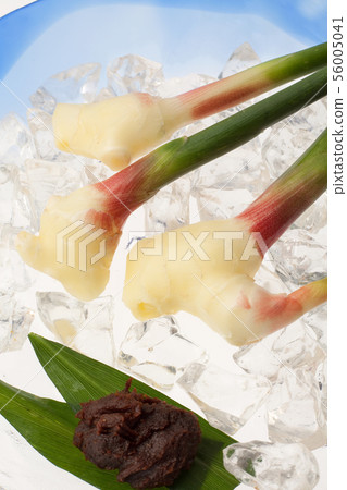 Leaf ginger 56005041