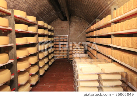 a lot of chees 56005049