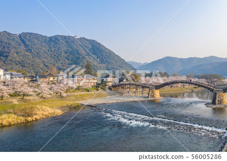 Kintaikai橋5 Kintaikai橋5 56005286