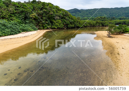 沖繩Ishigakijima Futtsukawa紅樹林社區 56005739