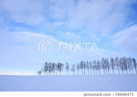 美瑛在冬天 美瑛在冬天 56006475