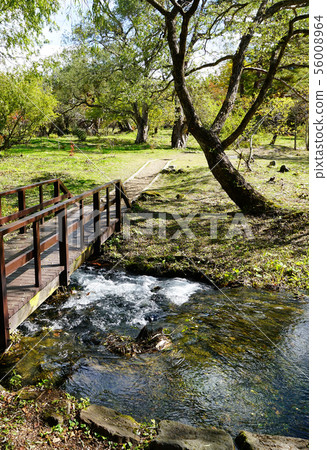 Goshikinuma colored leaves (Fukushima Prefecture) Goshikinuma colored leaves (Fukushima Prefecture) 56008964