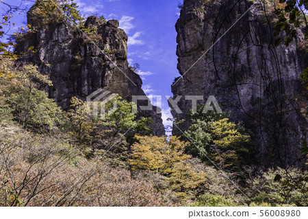 (群馬縣)Mt. Myogi / Climbing Road,彩色樹葉靠近第二個石門 (群馬縣)Mt. Myogi / Climbing Road,彩色樹葉靠近第二個石門 56008980