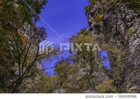 (Gunma Prefecture) Mt. Myogi / Climbing Route 2nd Ishimon Autumn leaves 56008996