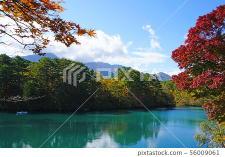 Goshikinuma colored leaves (Fukushima Prefecture) Goshikinuma colored leaves (Fukushima Prefecture) 56009061