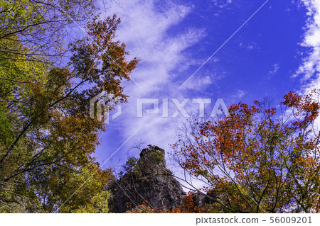 （群馬縣）秋天的Myogi山 56009201