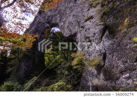 (Gunma Prefecture) Mt. Myogi in autumn, Daiichi Shimon 56009274