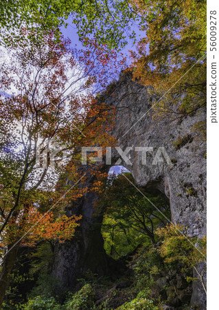 (Gunma Prefecture) Mt. Myogi in autumn, Daiichi Shimon 56009278