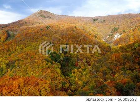 Zao Ropeway Zao Onsen Tohoku Zao Ropeway Zao Onsen Tohoku 56009558