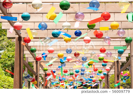 Enshu Sanzan風鈴節 56009779