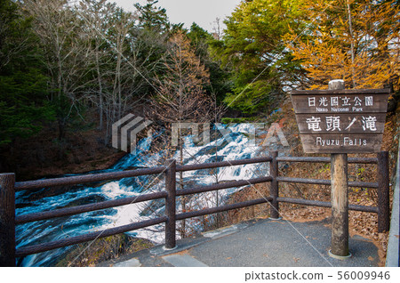 [Best time to see autumn leaves] Nikko City, Tochigi Prefecture, Nikko in autumn leaves, Ryuzuno Falls, Ryuzu bridge, flow, autumn, autumn leaves (Ryuzuno Chaya / Kandaidai) 56009946