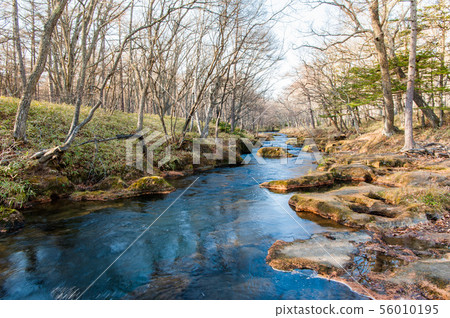 [Best time to see autumn leaves] Nikko City, Tochigi Prefecture, Oku Nikko in autumn leaves, Yumoto walkway, Senjogahara, flow, autumn, autumn leaves 56010195
