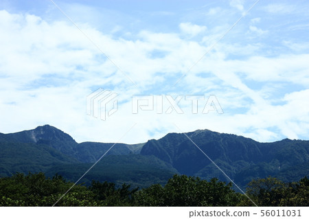 Halla Mountain, Horse Pasture, Horse, Field, Halla Mountain, Horse Pasture, Horse, Field, 56011031