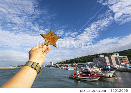 Sea landscape 56012006