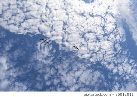 Sea landscape Sea landscape 56012011