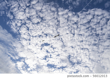 Sea landscape 56012013