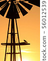 Windmill Silhouette Sunset with a bird Windmill Silhouette Sunset with a bird 56012539