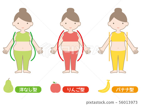 身體診斷西式蘋果型香蕉型03 56013973