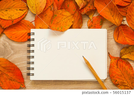 留言備註 56015137