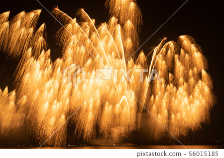 Tsu fireworks summer, flower, beauty 2019 Tsu fireworks summer, flower, beauty 2019 56015185