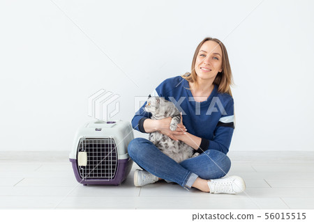 Charming positive young woman holds in her hands her beautiful gray fold scottish cat sitting on the 56015515