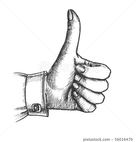 Female Hand Make Gesture Thumb Finger Up Vector Female Hand Make Gesture Thumb Finger Up Vector 56016470