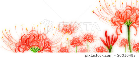 Blog header image Higanbana 56016492