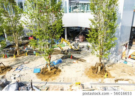 大廈/建築施工現場園林綠化 56016653