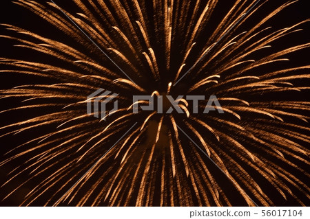 高崎節煙花 56017104