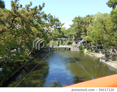 From the top of the bridge 56017126