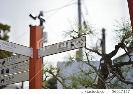 Shibamata Yagiri提供信息 56017357