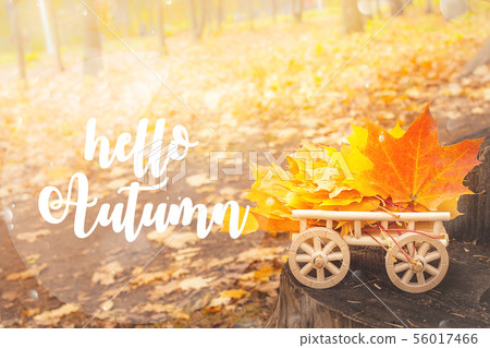 HELLO AUTUMN lettering card. maple leaves on a wooden cart. 56017466
