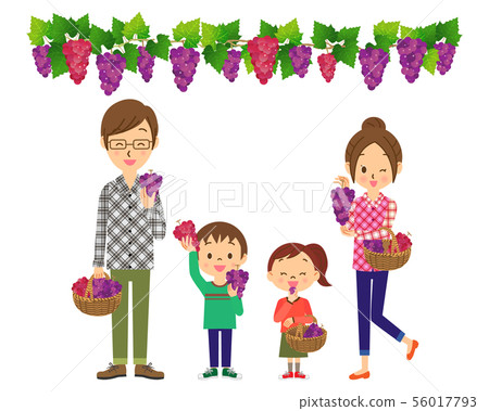 葡萄採摘家庭02 56017793